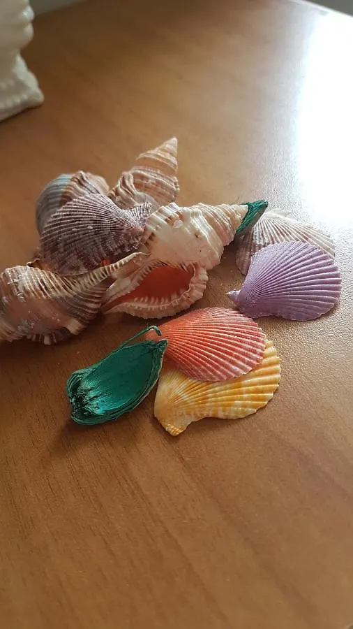 Sea View Apartment 卡塔尼亚